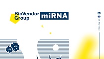 microRNAs for Diagnostics in Cancer