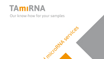 microRNA: TAmiRNA’s Customer-tailored microRNA services