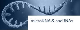 microRNA assays