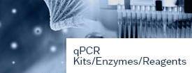 PCR Kits/Enzymes/Reagents