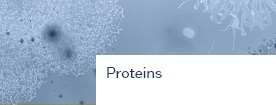 for COVID-19R - Proteins