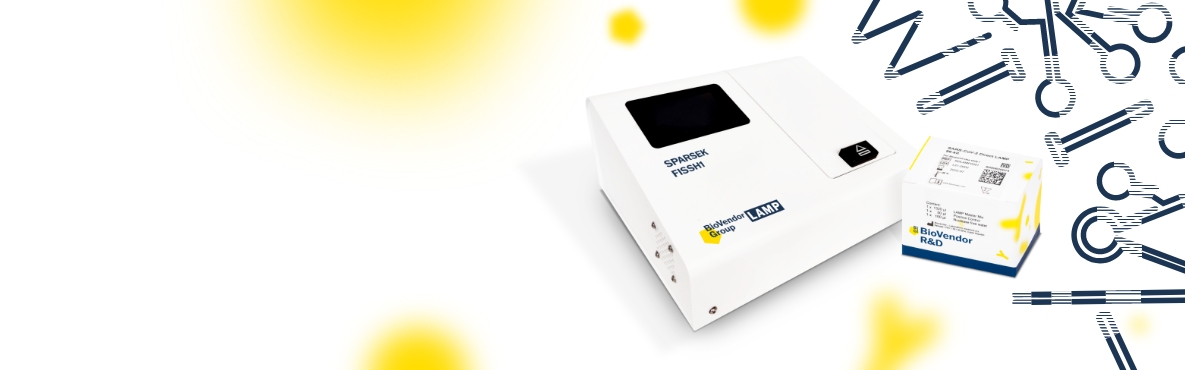 LAMP for effective POCT testing