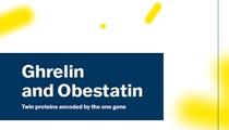 Ghrelin and Obestatin