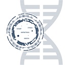 Precise genetic analysis with epicGEN Solid Cancer & MSI Kit