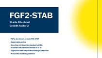 FGF2-STAB