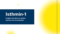 Isthmin-1