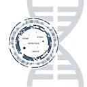 Precise genetic analysis with epicGEN Solid Cancer & MSI Kit